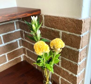 10月のお休みのお知らせ