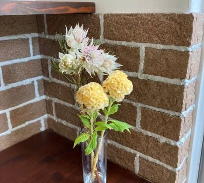 なかなか治らない口内炎