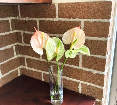 漢方薬の中でも煎じ薬の良いところ