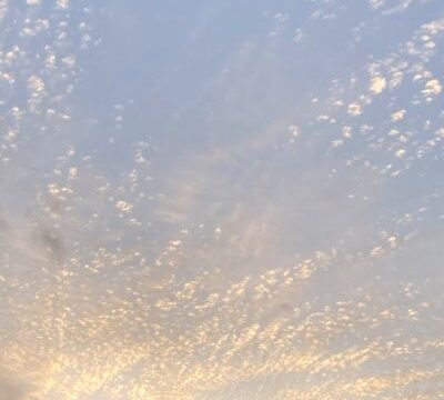 年末年始のお休みのお知らせ