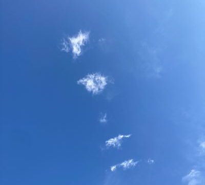 漢方薬の香り♪