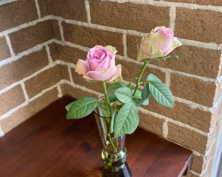 冷え症で悩む女性の方へ（20代から更年期まで）