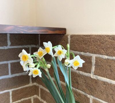 今年も誠にありがとうございました