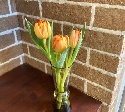 （症例）更年期のホットフラッシュと胃の不調｜漢方薬局で調えた50代女性のケース