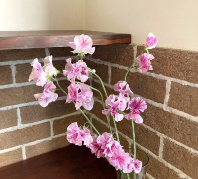 世田谷で子どもの漢方相談をお考えの方へ｜漢方薬剤師が大切にしていること