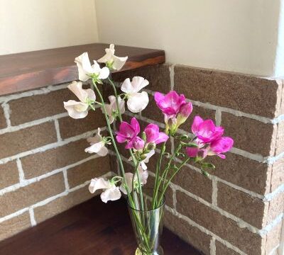 漢方で体質改善はできる？｜私が大切にしていること