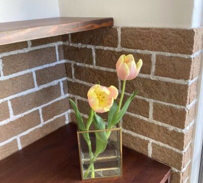 更年期の中途覚醒の症例ー3時・4時に目が覚める方へー